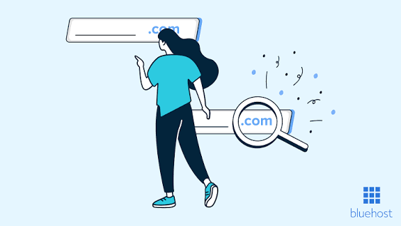 plicabig.com: A Practical Approach to Researching an Unfamiliar Domain plicabig.com